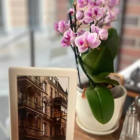 Cocorico Old Town Adults Only 4* シュチェチン