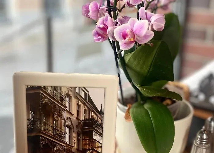 Cocorico Old Town Adults Only 4* Stettin